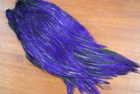 Lathkill Dyed Indian Badger Salmon Cock Capes Purple