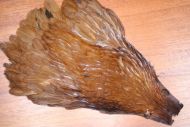 Hareline Hen Cape Dyed Brown