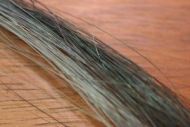 Horse Tail Hair Dark Blue Dun