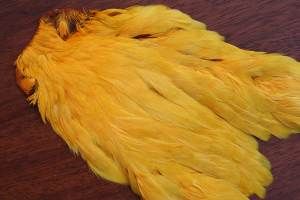 Indian Hen Cape Dyed Sunburst Yellow