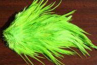 Indian Cock Saddle Dyed Chartreuse