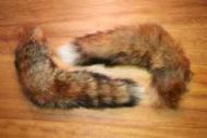 Red Fox Tail Natural