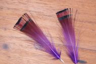 Golden Pheasant Tippets Purple