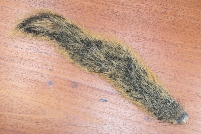 Natural Red Fox Squirrel Tails  