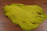 Lathkill Dyed Indian Broiler Hen Cape Golden Olive