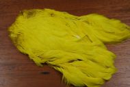 Lathkill Dyed Indian Broiler Hen Cape Yellow