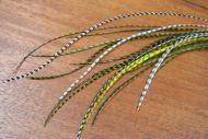 Genetic Grizzle Saddle Hackles