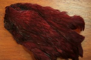 Indian Hen Cape Dyed Claret