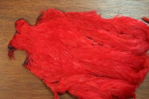 Indian Hen Cape Dyed Red
