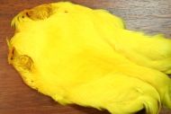 Indian Hen Cape Dyed Yellow