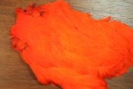 Indian Hen Cape Dyed Hot Orange