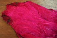 Indian Hen Cape Dyed Magenta