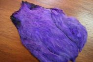 Indian Hen Cape Dyed Purple