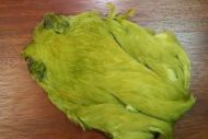 Indian Hen Cape Dyed Olive