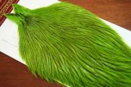 Badger Dyed Flo. Green Chartreuse