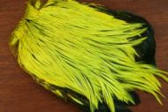 Lathkill Dyed Indian Badger Salmon Cock Capes Yellow