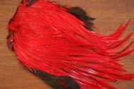 Lathkill Dyed Indian Badger Salmon Cock Capes Red